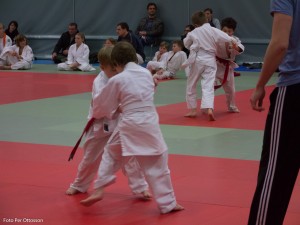 2013 03 05 - 025 Per Ottosson